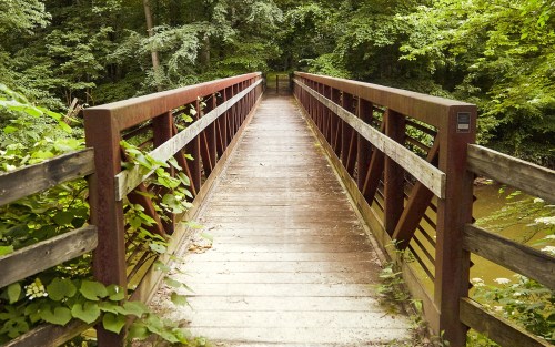 A wooden bridge surrounded by lush greenery, leading over a calm stream in a serene forest setting.