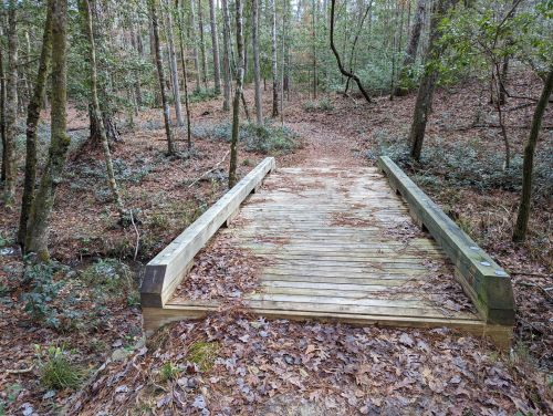 A wooden bridge spans a small creek in a forested area, surrounded by trees and fallen leaves.