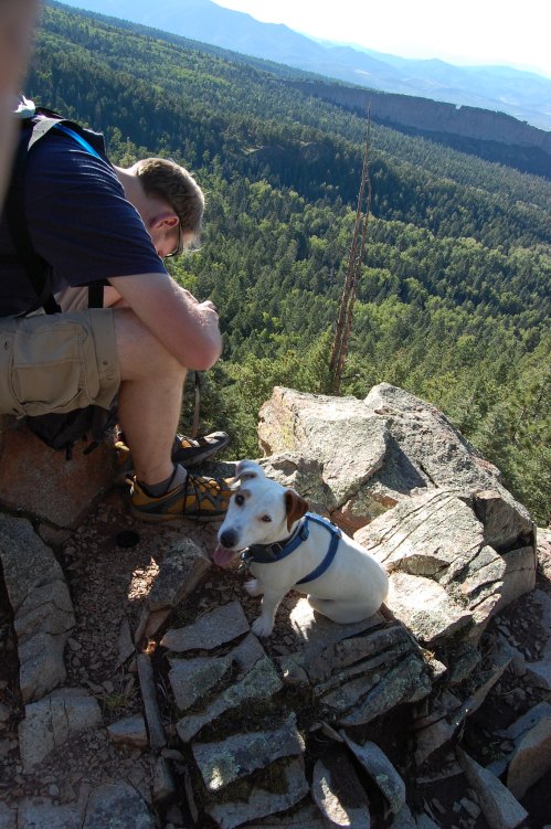 A person sits on a rocky ledge, focused on something, while a small dog sits beside them, overlooking a lush green valley.