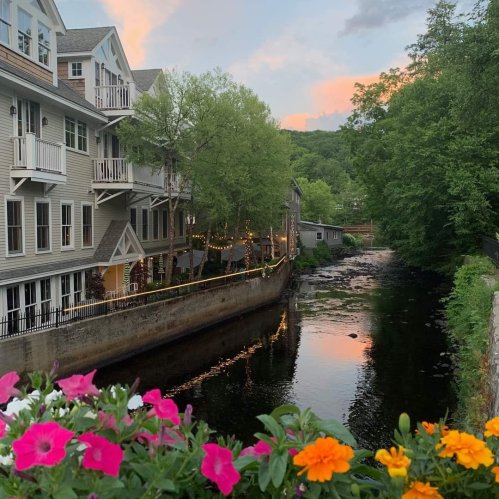 A serene river scene with colorful flowers in the foreground, reflecting buildings and trees under a sunset sky.