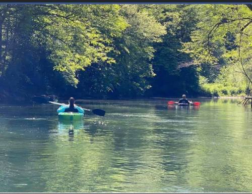 Two people kayaking on a calm river surrounded by lush green trees and sunlight filtering through the leaves.
