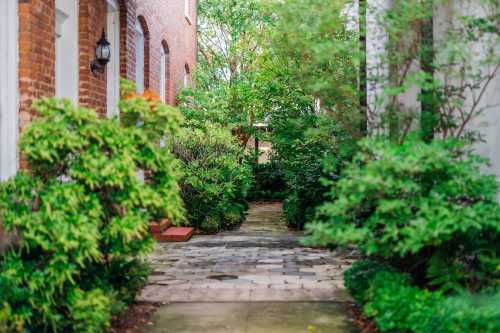 A lush, green pathway lined with shrubs and trees, leading through a charming brick-lined courtyard.