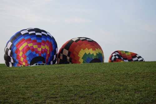 Three colorful hot air balloons partially inflated on a grassy hill under a clear sky.