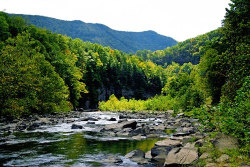 A serene river flows through a lush green landscape, surrounded by mountains and trees in vibrant autumn colors.