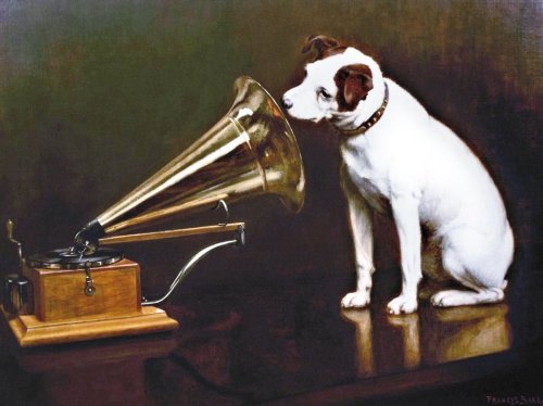A dog sits beside a vintage gramophone, curiously listening to the music it plays.