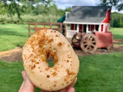A hand holds a glazed donut with crumbs, with a red barn and green grass in the background.