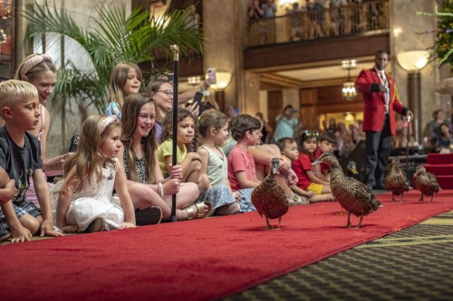 Children sit on a red carpet watching ducks parade through a hotel lobby, with onlookers capturing the moment.
