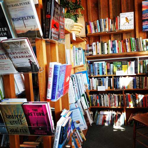 A cozy bookstore filled with wooden shelves stacked with various books in colorful covers. Natural light streams in.
