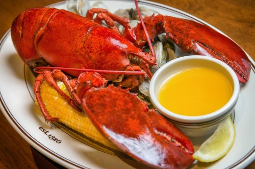 A plate featuring a whole red lobster, corn on the cob, clams, and a small bowl of melted butter.