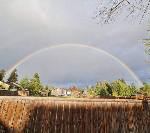 A vibrant rainbow arcs over a cloudy sky, with trees and houses visible in the foreground.