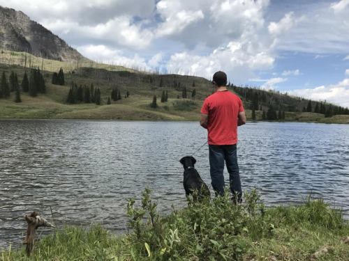 A person in a red shirt stands by a lake with a black dog, surrounded by trees and mountains under a cloudy sky.