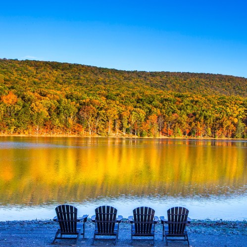 Five empty chairs facing a calm lake, surrounded by vibrant autumn foliage and a clear blue sky.