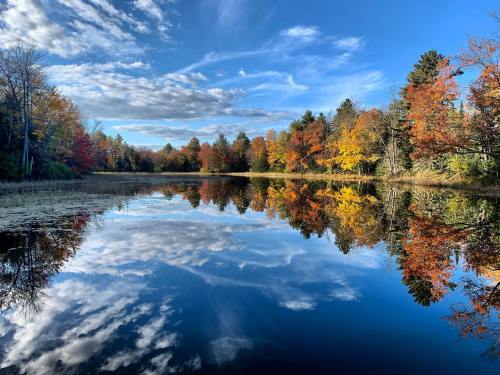 A serene lake reflecting colorful autumn trees and a blue sky with clouds.
