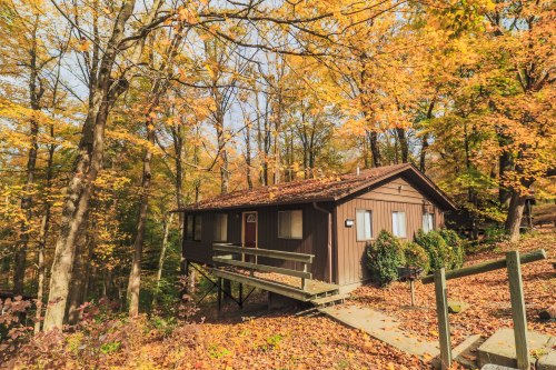 A cozy brown cabin surrounded by vibrant autumn foliage and fallen leaves in a serene forest setting.