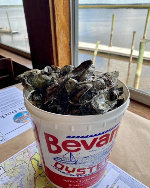 A bucket of fresh oysters sits on a table by a window, with a view of a dock and water in the background.