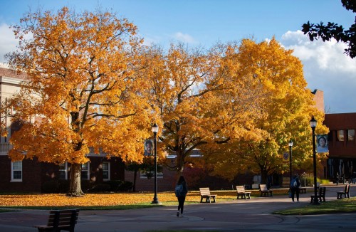 A vibrant autumn scene with golden trees and fallen leaves, people walking on a campus path under a blue sky.