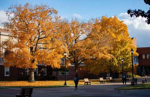 A vibrant autumn scene with golden trees and fallen leaves, people walking on a campus path under a blue sky.