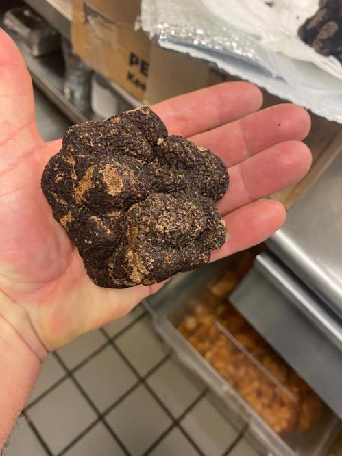 A hand holding a large, dark, irregularly shaped piece of food, resembling a truffle or dense chocolate.