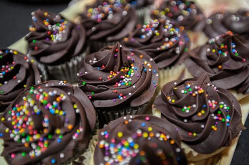 A close-up of chocolate cupcakes topped with swirls of chocolate frosting and colorful sprinkles.