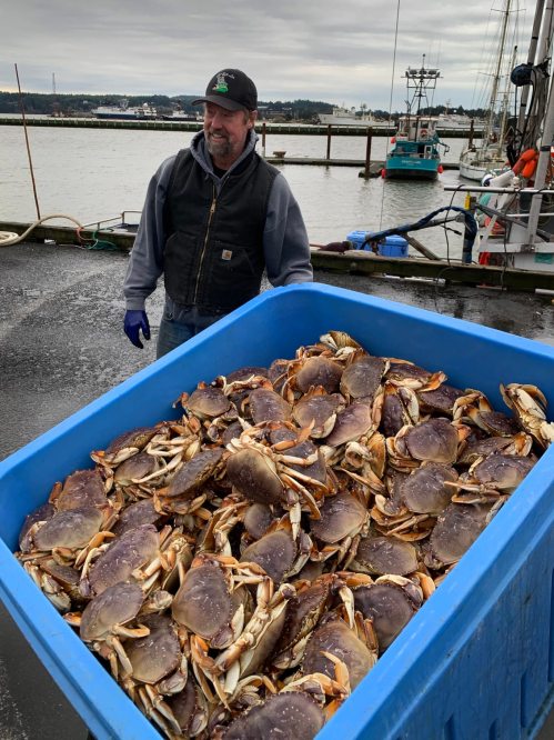 A man stands beside a large blue container filled with crabs at a harbor, with boats and water in the background.