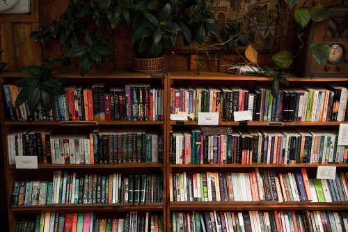 A wooden bookshelf filled with a variety of colorful books, surrounded by green plants.