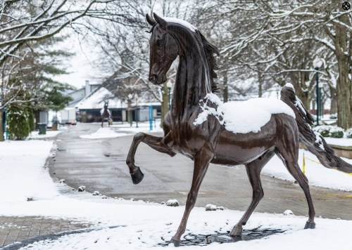 A bronze horse statue covered in snow, surrounded by trees and a snowy pathway.