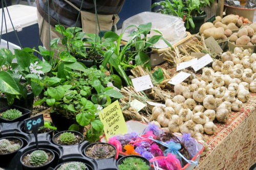 A vibrant market display featuring potted plants, garlic, and colorful decorations on a table.