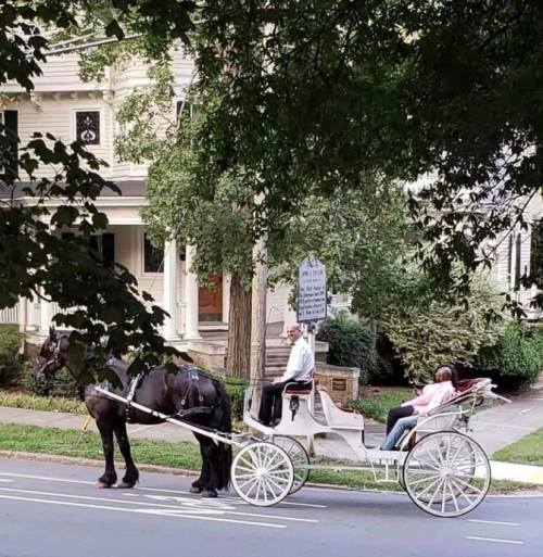 A horse-drawn carriage with a driver and passenger on a tree-lined street near a house.