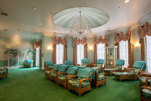 A serene lounge with teal chairs, a chandelier, and large windows, featuring green carpet and decorative wall murals.