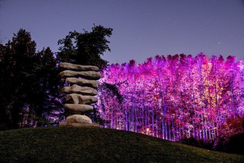 A stone sculpture stands on a hill, illuminated by colorful lights against a backdrop of trees and a starry night sky.