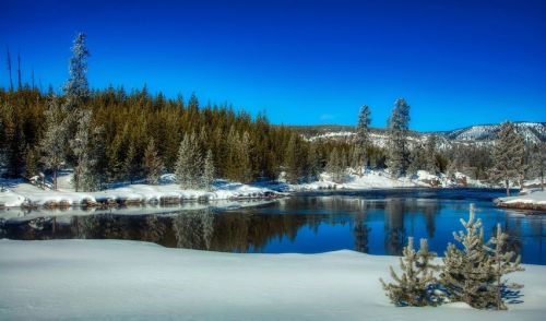 A serene winter landscape featuring a calm river, snow-covered banks, and evergreen trees under a clear blue sky.