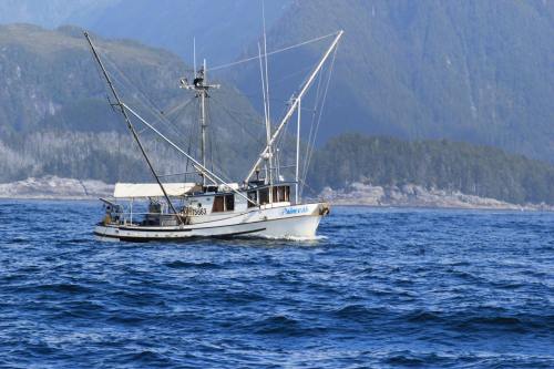 A fishing boat with tall masts sails through blue waters, surrounded by green mountains and a rocky shoreline.