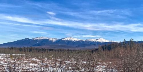 Snow-capped mountains rise against a blue sky, surrounded by a forest and open fields.