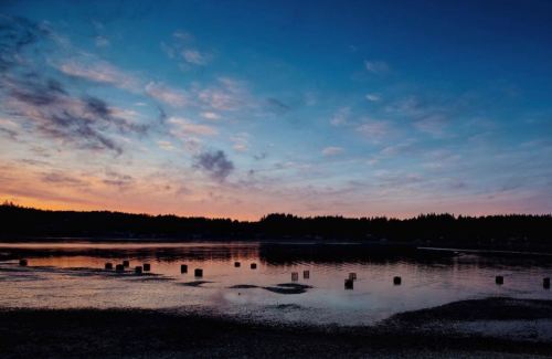 A serene sunset over a calm water body, with silhouettes of trees and wooden posts reflecting in the water.