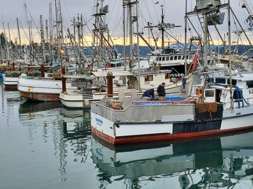 Fishing boats docked in a harbor, with a person working on one boat and a calm water reflection.