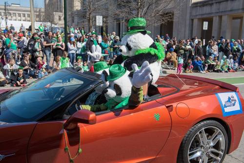 A convertible car in a parade with two costumed characters wearing green hats, surrounded by a festive crowd.