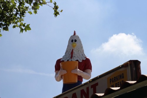 A large chicken statue wearing a red shirt holds a pot, perched on a building against a blue sky.