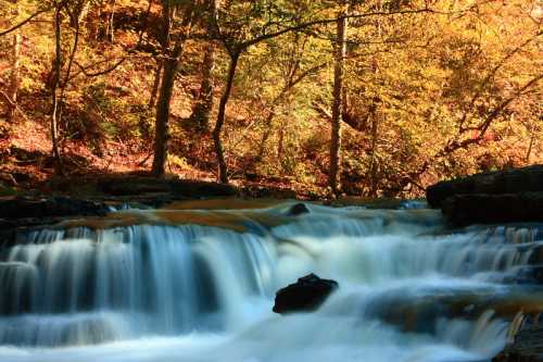 A serene waterfall cascades over rocks, surrounded by vibrant autumn foliage in warm hues.