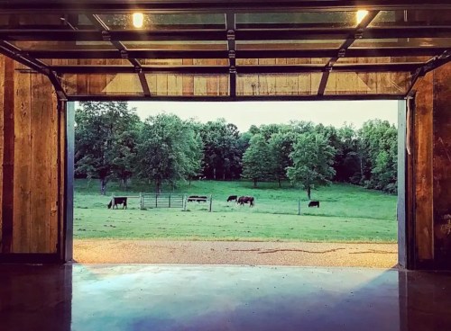 View from a garage opening onto a green field with cows grazing under trees.