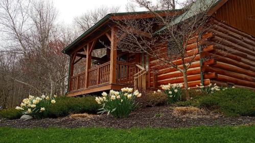 A log cabin with a porch surrounded by blooming white flowers and greenery, set in a wooded area.