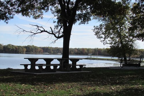 A serene lakeside scene featuring a picnic table under a tree, with calm water and trees in the background.