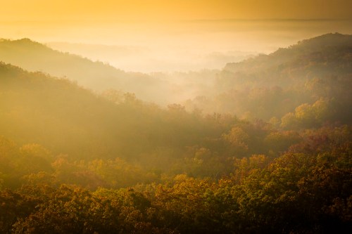 A misty landscape at sunrise, with rolling hills and autumn foliage in warm golden hues.