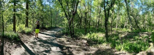 A person in a yellow outfit stands on a path surrounded by lush green trees in a forested area.