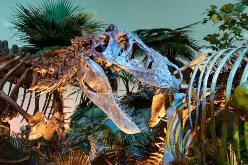 A close-up of a dinosaur skeleton, showcasing the skull and teeth, surrounded by lush, prehistoric foliage.
