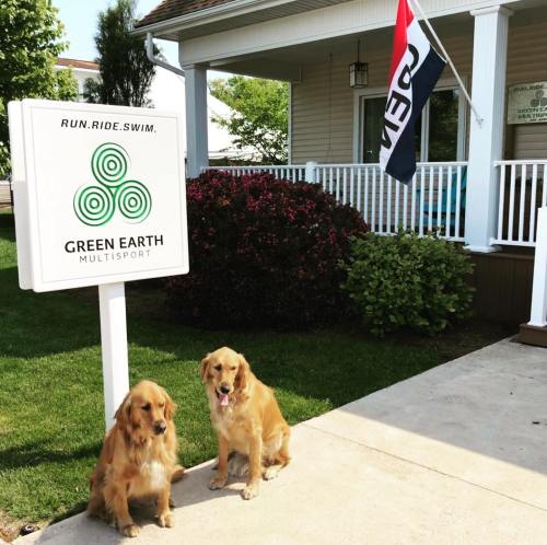 Two golden retrievers sit in front of a sign for "Green Earth Multisport," with a flag waving in the background.