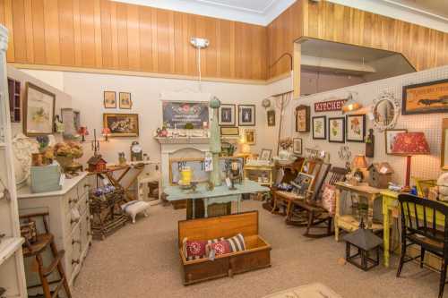 A cozy vintage shop filled with eclectic decor, furniture, and charming knick-knacks on display.