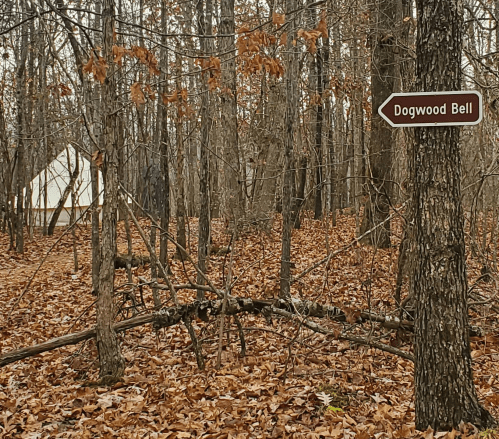 A wooded area with fallen leaves and a sign pointing to "Dogwood Bell," with a tent visible in the background.