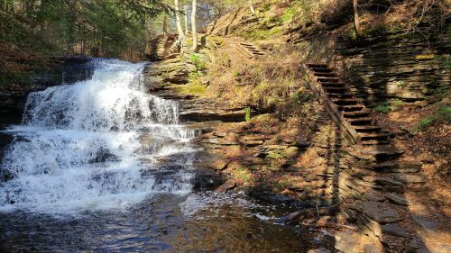 A serene waterfall cascades over rocky terrain, with wooden steps leading up the side in a lush, green forest.