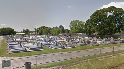 A cemetery with numerous gravestones and flowers, surrounded by a fence and trees under a clear sky.