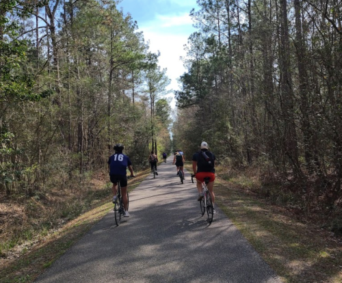 A group of cyclists riding on a tree-lined path on a sunny day.